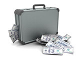 suitcase with money
