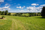 Rural summer landscape 