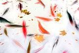 Koi Fish Swimming in Pond Abstract Illustration