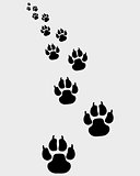 footprints of dogs 3