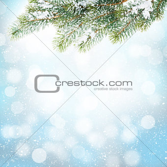Christmas winter background with snow fir tree