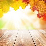 Autumn nature background with maple leaves, wooden table