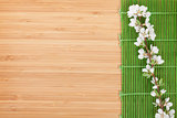 Sakura branch over bamboo mat