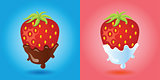 strawberries vector image