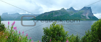 Fjord summer cloudy panorama (Norway)