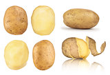 collection of potatoes peeled, in the peel on an isolated white 