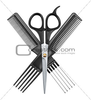 professional hairdresser scissors and two combs
