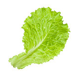 Green salad leaf isolated on the white
