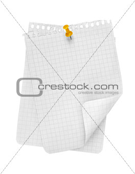 two stapled pages in a cage on an isolated white background