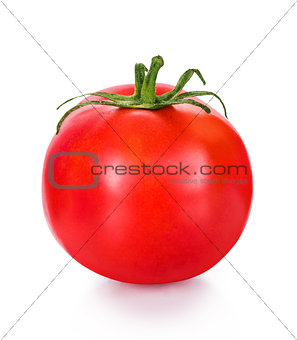 Red tomato on an isolated white background