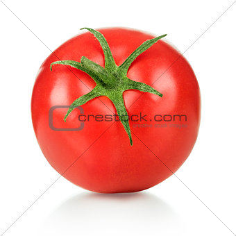 Red tomato on an isolated white background
