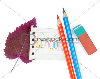 Color pencils with leafs on white background