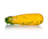 yellow zucchini on a white background