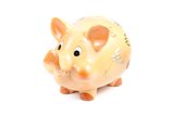piggy bank isolated, concept for business and save money