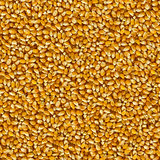 Seamless Tileable Texture of Corn Beans.