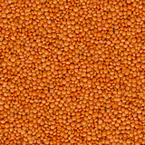 Orange Lentils Close Up - Seamless Texture.