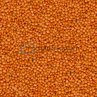 Orange Lentils Close Up - Seamless Texture.