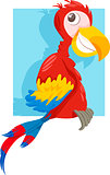 macaw parrot cartoon illustration