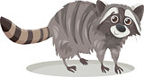 raccoon animal cartoon illustration