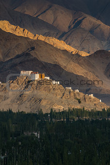 Matho Monastery  