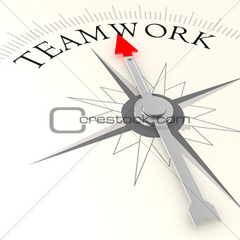 Teamwork compass