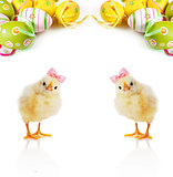 Cute fluffy chicks and Easter Eggs