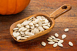 scoop of pumpkin seeds