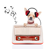 dog   relax music