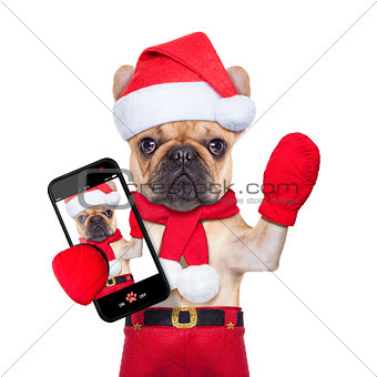 christmas selfie dog