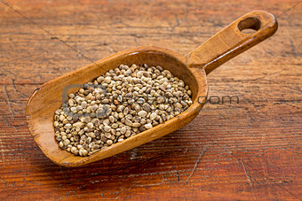 scoop of hemp seeds