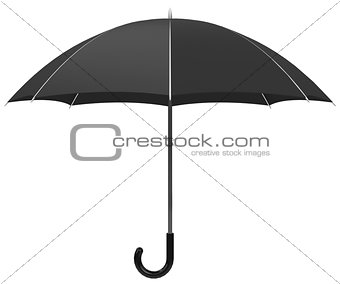 the umbrella