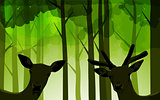 forest deers