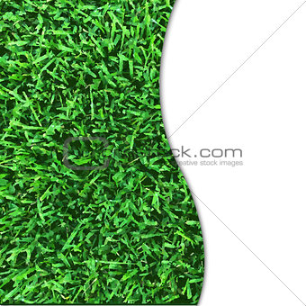 Grass Texture Poster