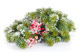 Christmas decorative snow branch with holly berry
