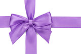 Purple ribbon with bow