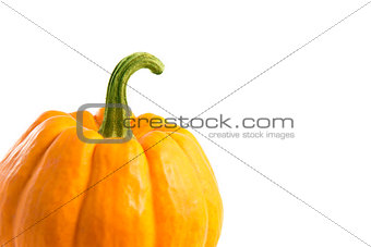 Close-up shot of decorative orange pumpkin 