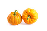 Two small decorative pumpkins 