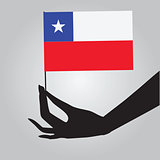 Flag of the State of Chile