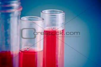 test tubes with red liquid in laboratory 