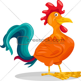 funny rooster cartoon illustration