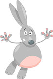 funny gray rabbit cartoon illustration