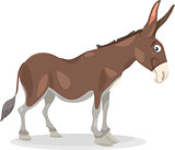 funny donkey cartoon illustration