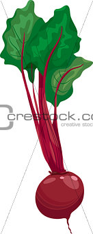 beet vegetable cartoon illustration