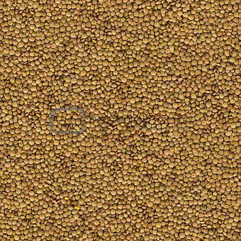 Brown Lentils Background. Seamless Texture.