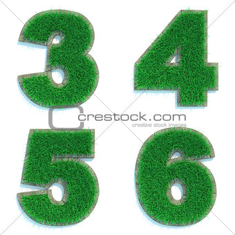 Digits 3, 4, 5, 6 of Green Lawn.