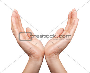 women's open hands on an isolated white background