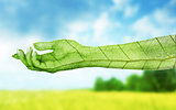Eco concept. Hand of nature