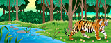Green forest with a tiger