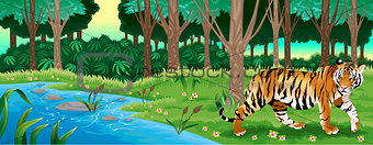 Green forest with a tiger
