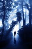 Man on road in foggy forest 